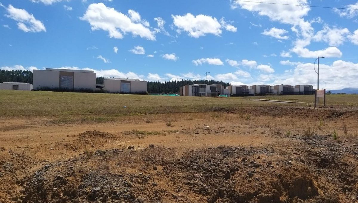 WhatsApp Image 2025-07-24 at 4.29.33 PM