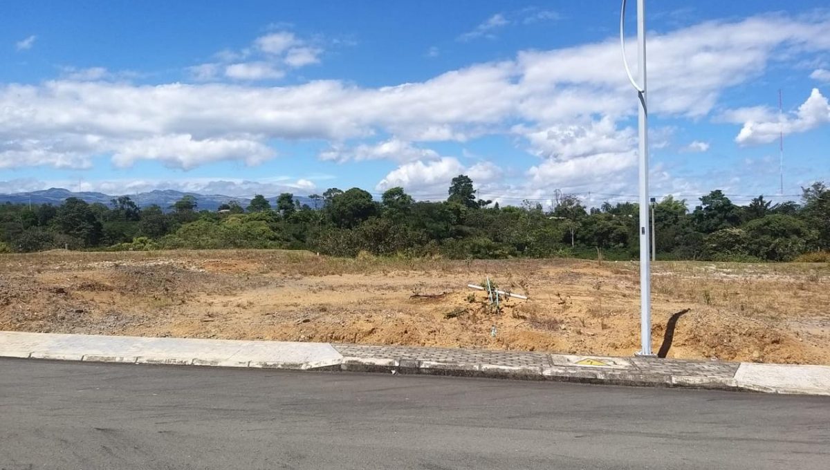 WhatsApp Image 2025-07-24 at 4.29.34 PM (1)