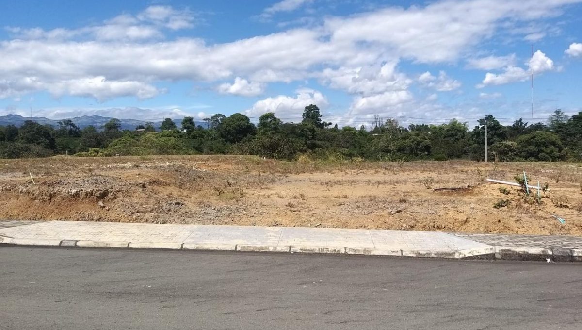 WhatsApp Image 2025-07-24 at 4.29.34 PM (2)