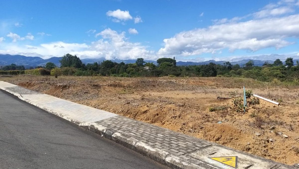 WhatsApp Image 2025-07-24 at 4.29.35 PM (1)