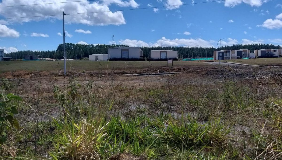 WhatsApp Image 2025-07-24 at 4.29.35 PM (2)