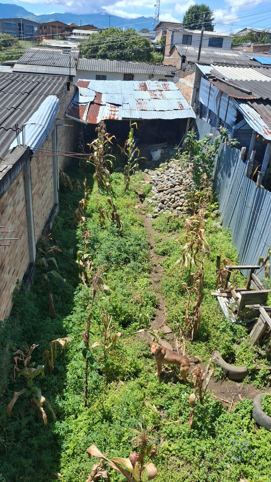 VENDO EXCELENTE LOTE SECTOR BELLOHORIZONTE, CERCA AL SENA