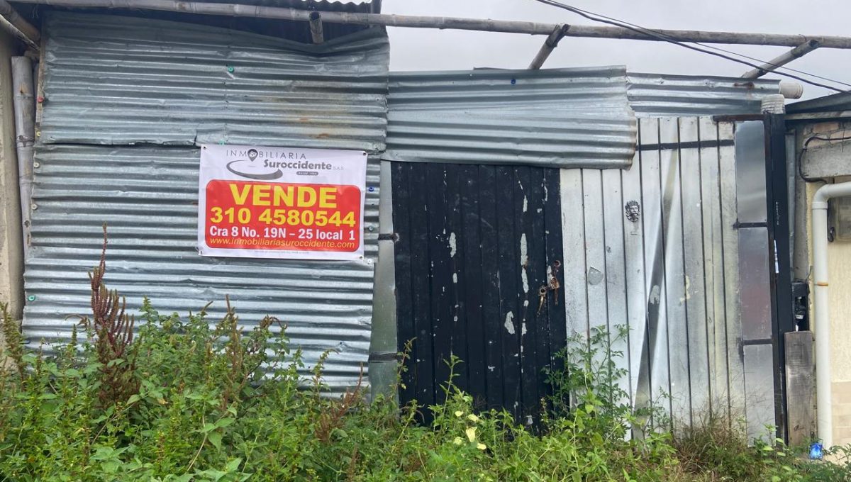 WhatsApp Image 2026-03-03 at 11.23.36 AM