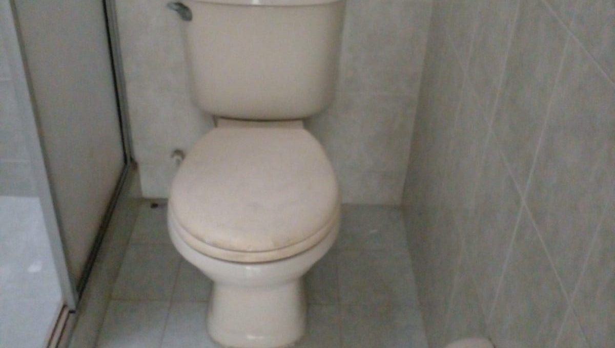 39db62a0-e4b5-4995-a41e-9f6028e798de